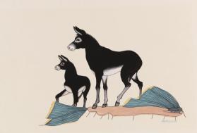 "Two Burros"