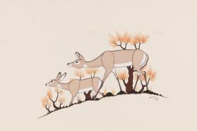 "Doe and Fawn"